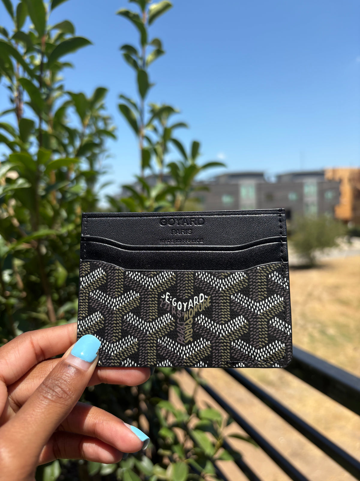 Gogo card case