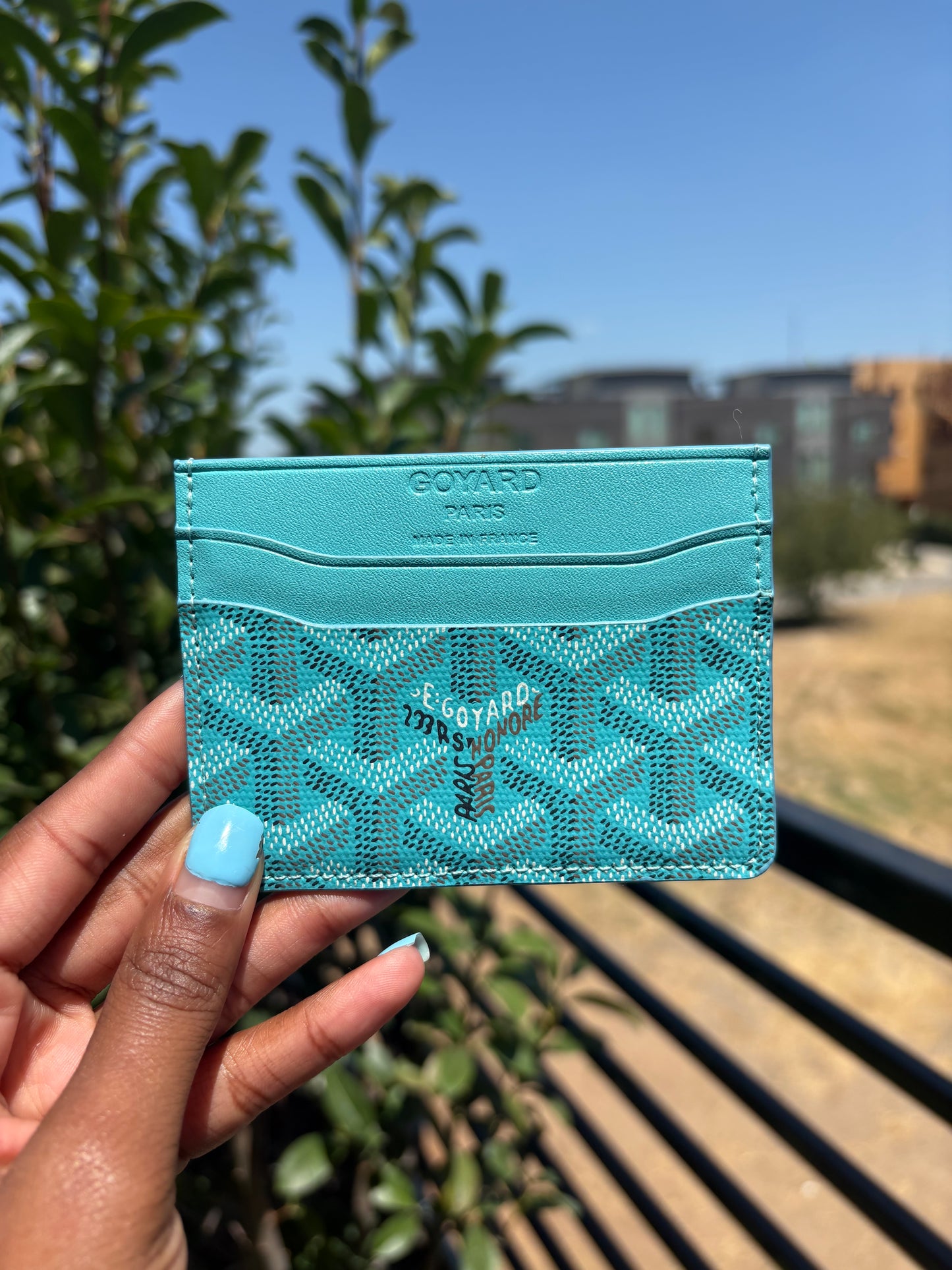 Gogo card case