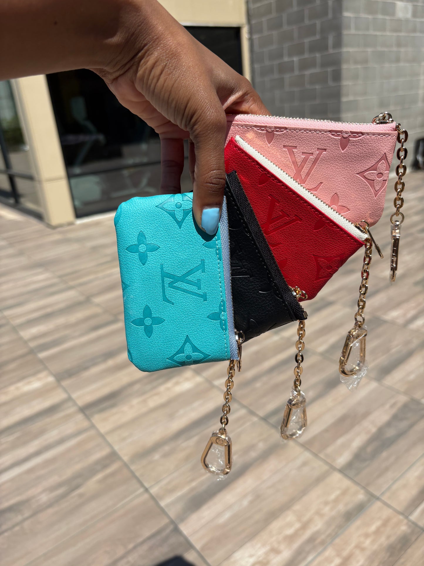 Lux coin pouch