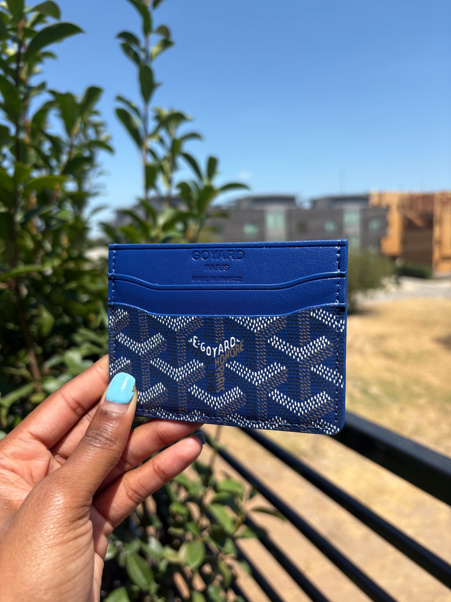 Gogo card case
