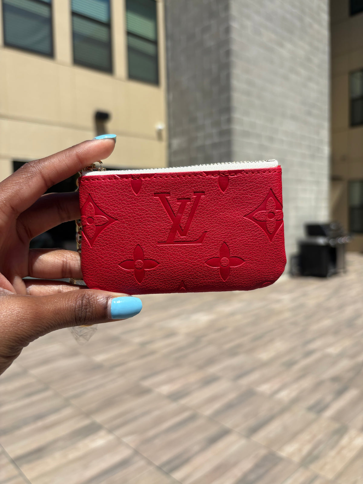 Lux coin pouch