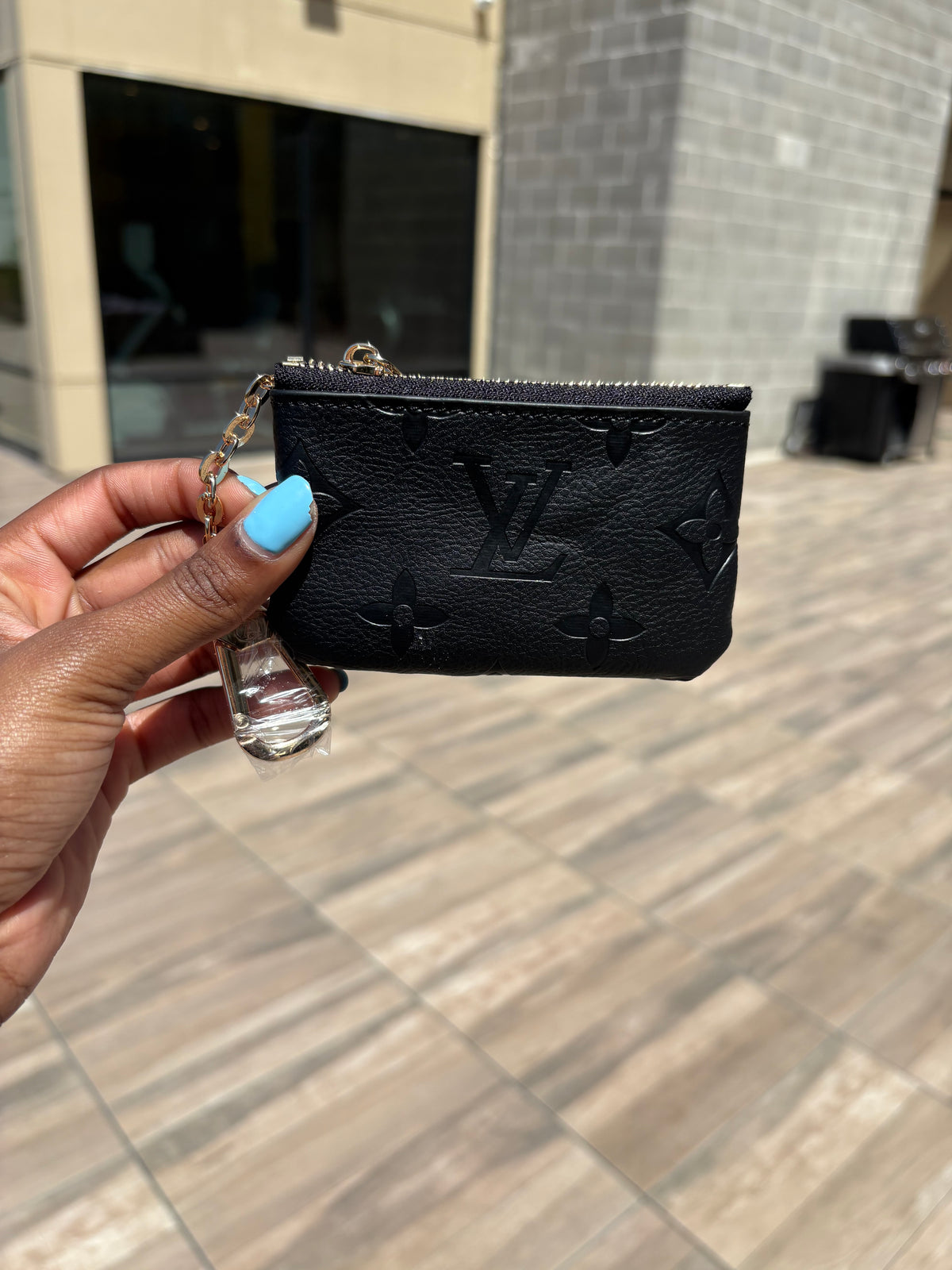 Lux coin pouch