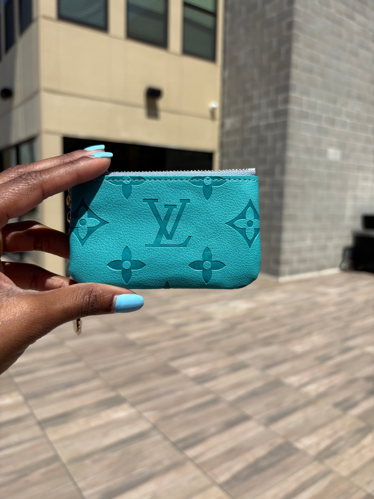 Lux coin pouch