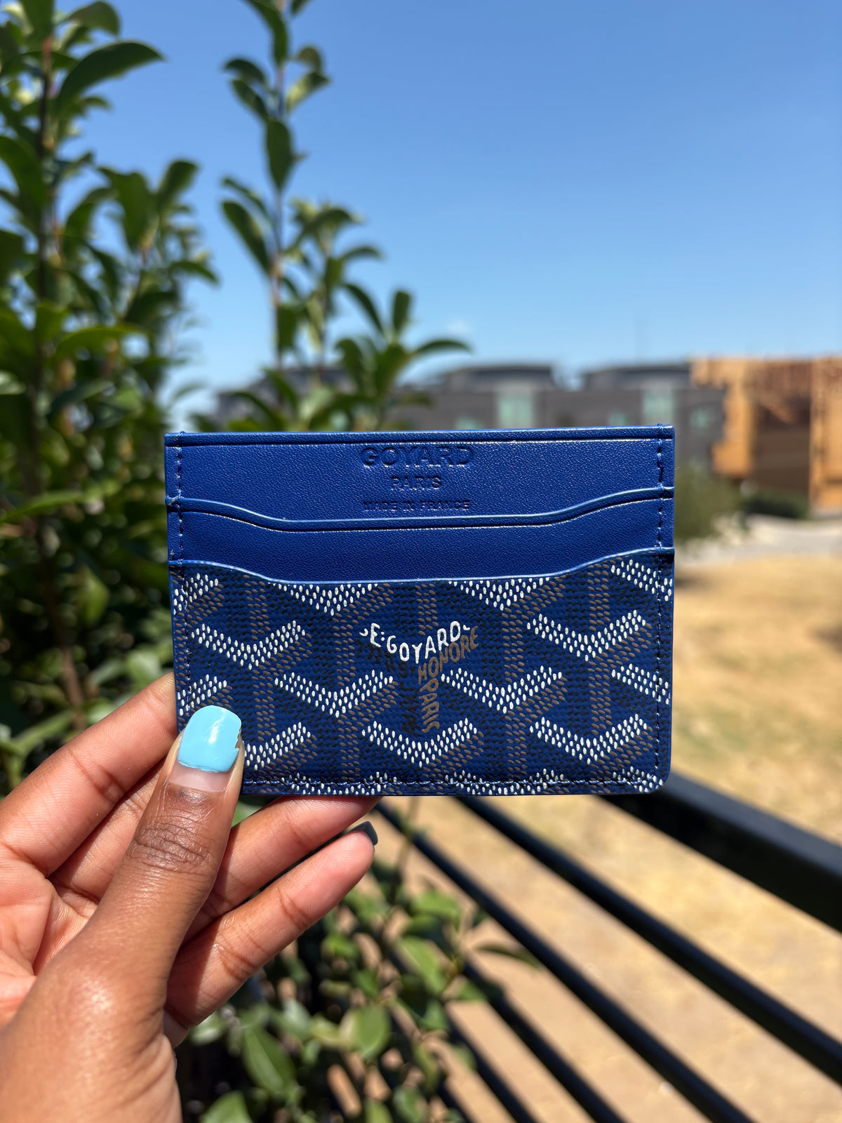 Gogo card case