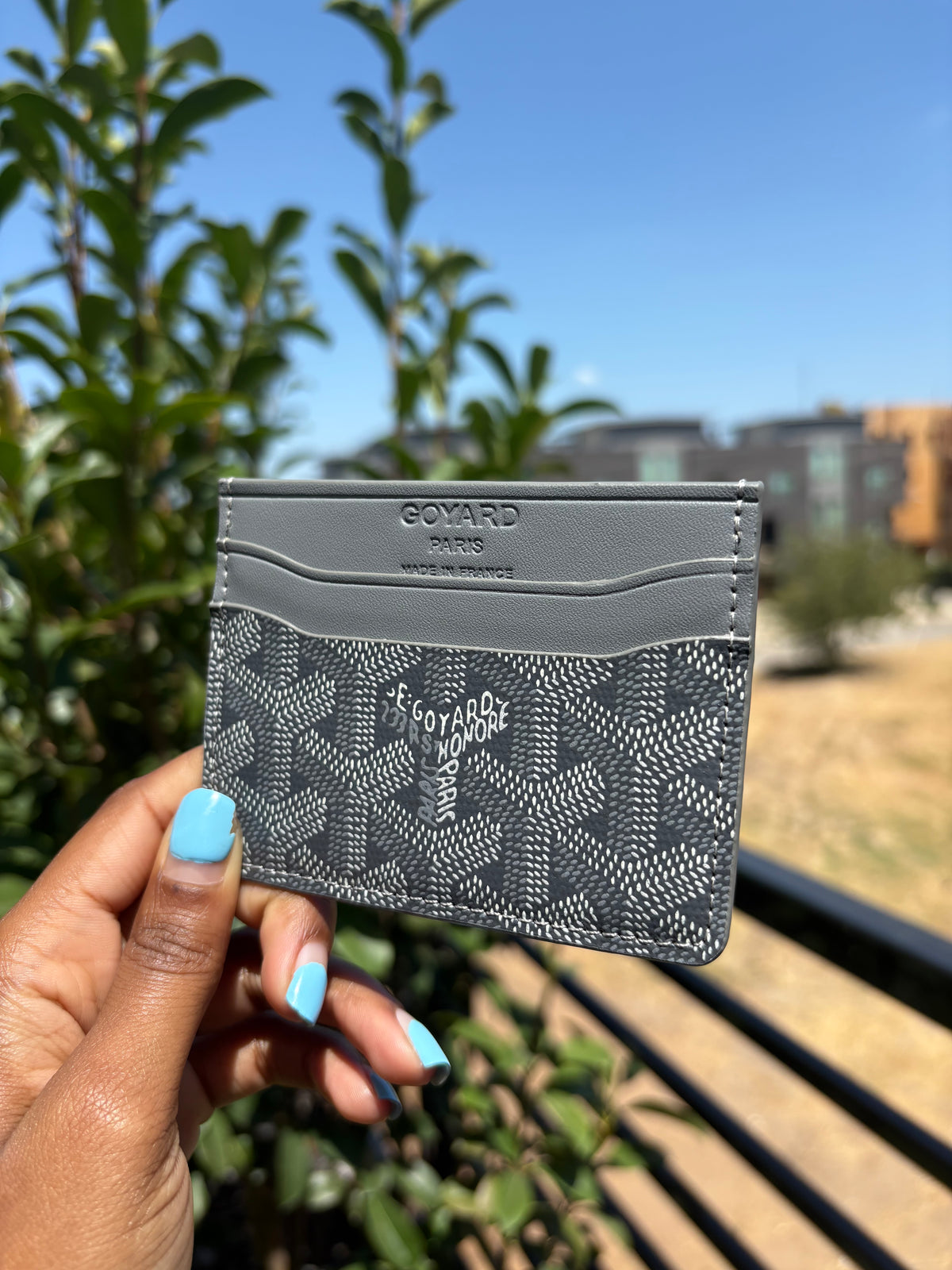 Gogo card case
